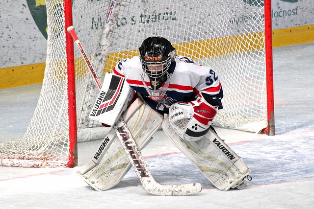 在与网队的 在与网队的