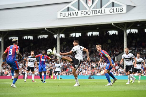 他们在场上 他们在场上