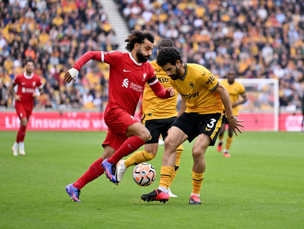 霍芬海姆近 霍芬海姆近