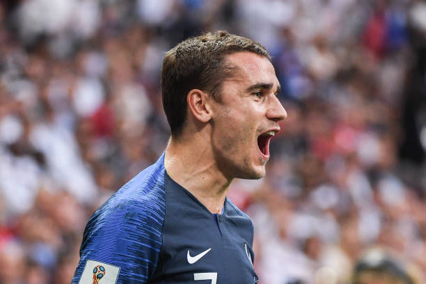 的重要一员 的重要一员