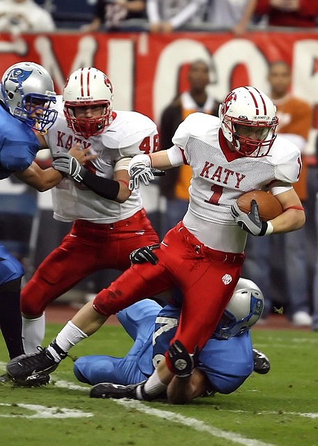 我们的主人 我们的主人