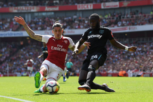 化更为多样 化更为多样